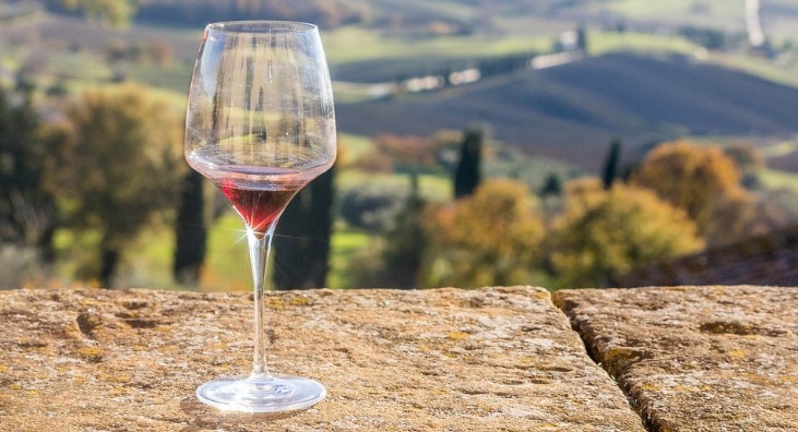 El turismo del vino tiene Plan de Marketing Internacional y Observatorio Económico