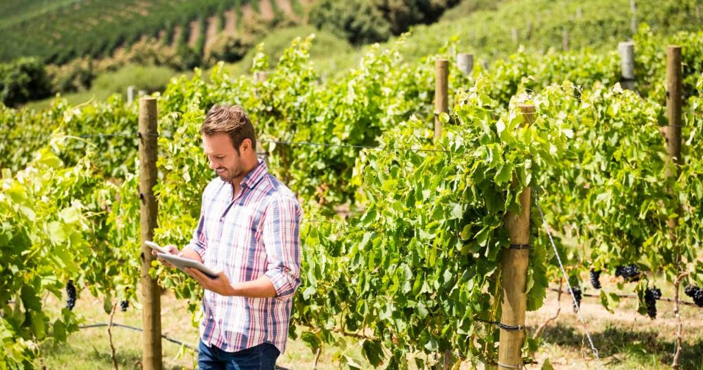 El INV lanzó 9 cursos de capacitación para el sector vitivinícola