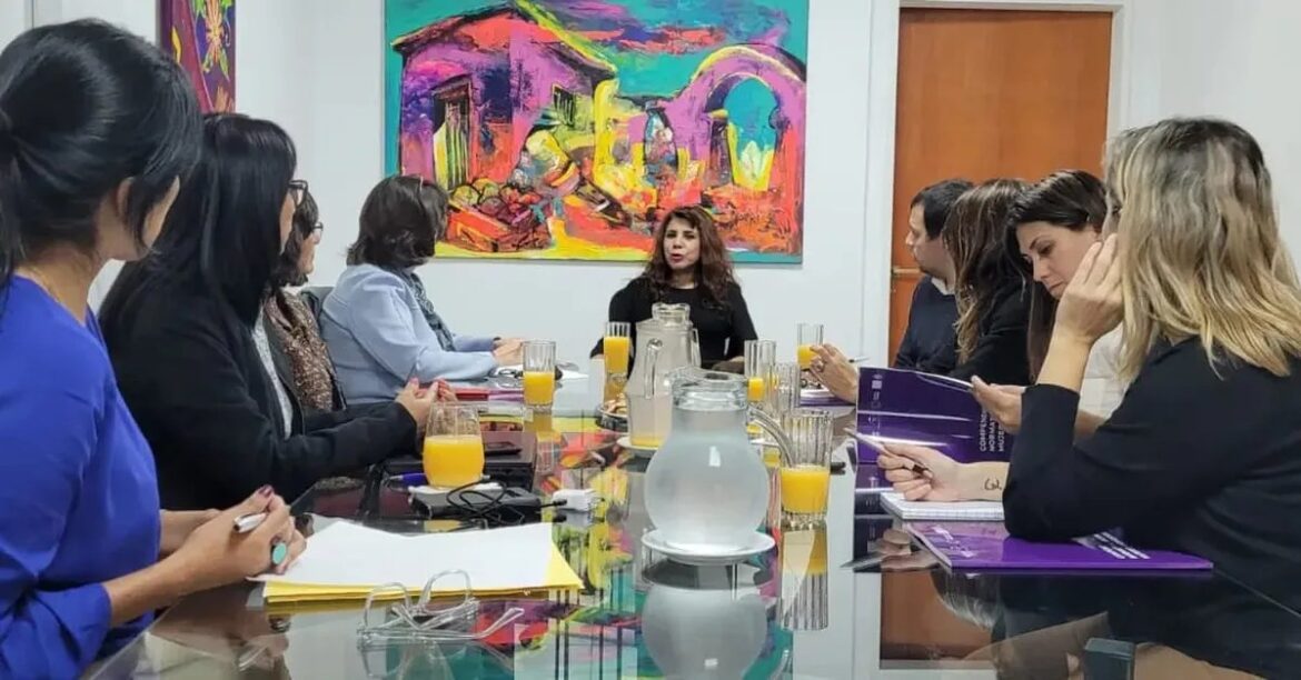 Alejandra Martínez se reunió con representantes de UNICEF
