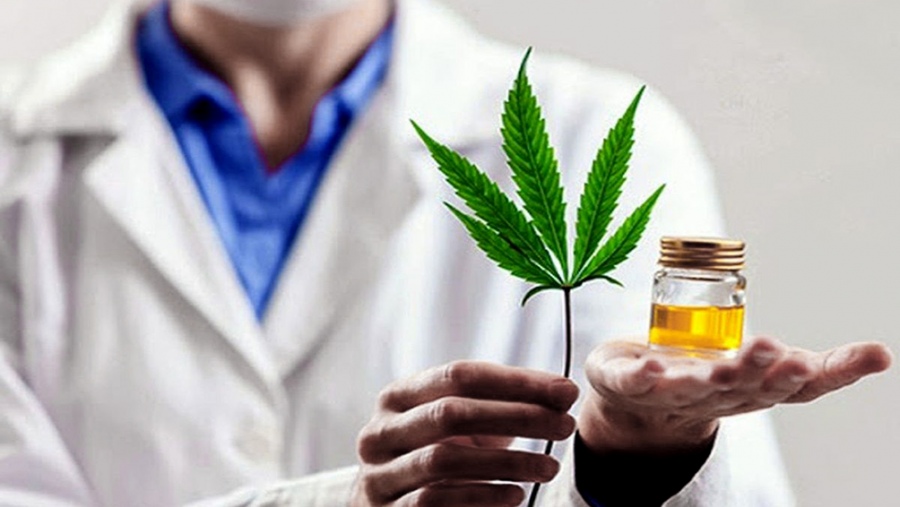 Se promulgó la Ley de cannabis medicinal y cáñamo industrial