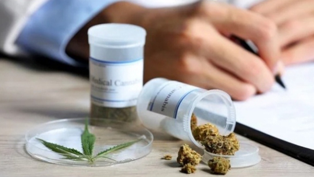 Capacitación en cannabis medicinal para profesionales de la salud
