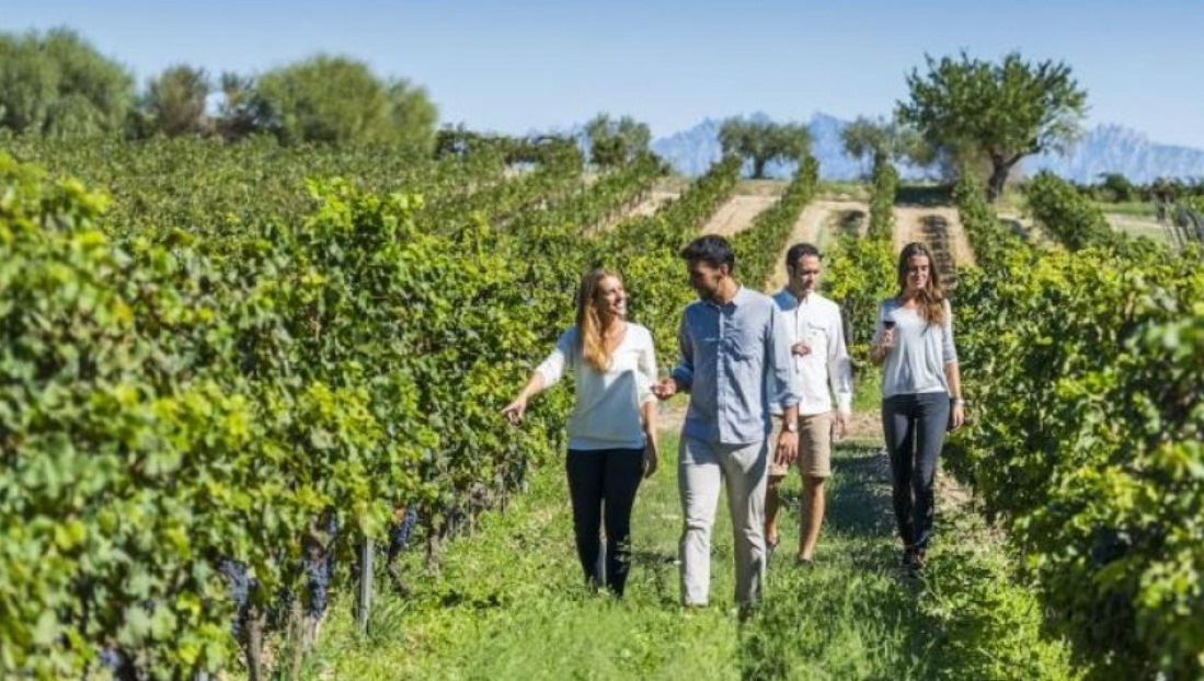 En Córdoba será el II Encuentro Regional del turismo del vino