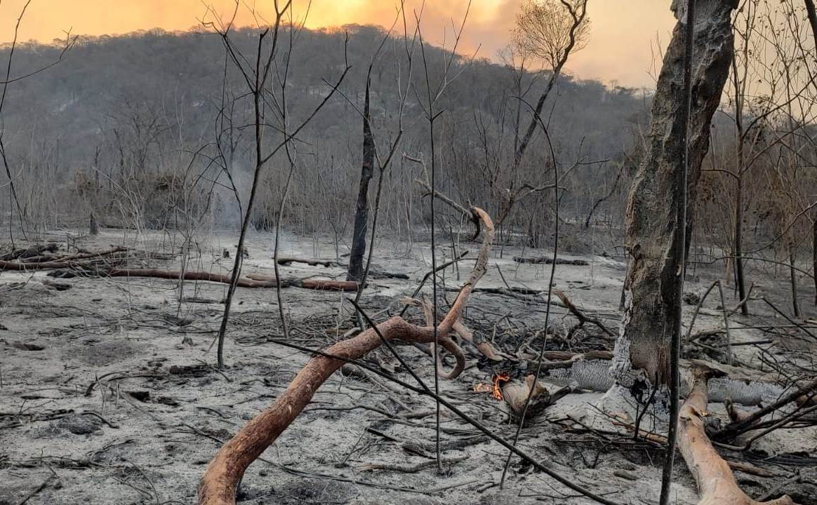 Ascienden a 4.000 las hectáreas arrasadas por el incendio en las Yungas