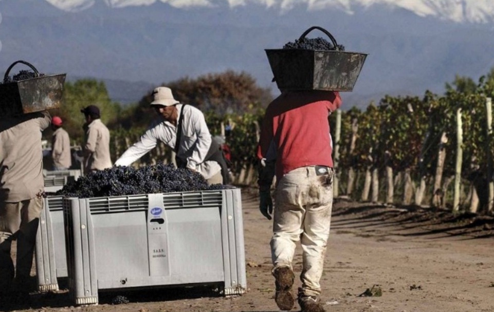 Una por una, las medidas para apuntalar el sector vitivinivcola