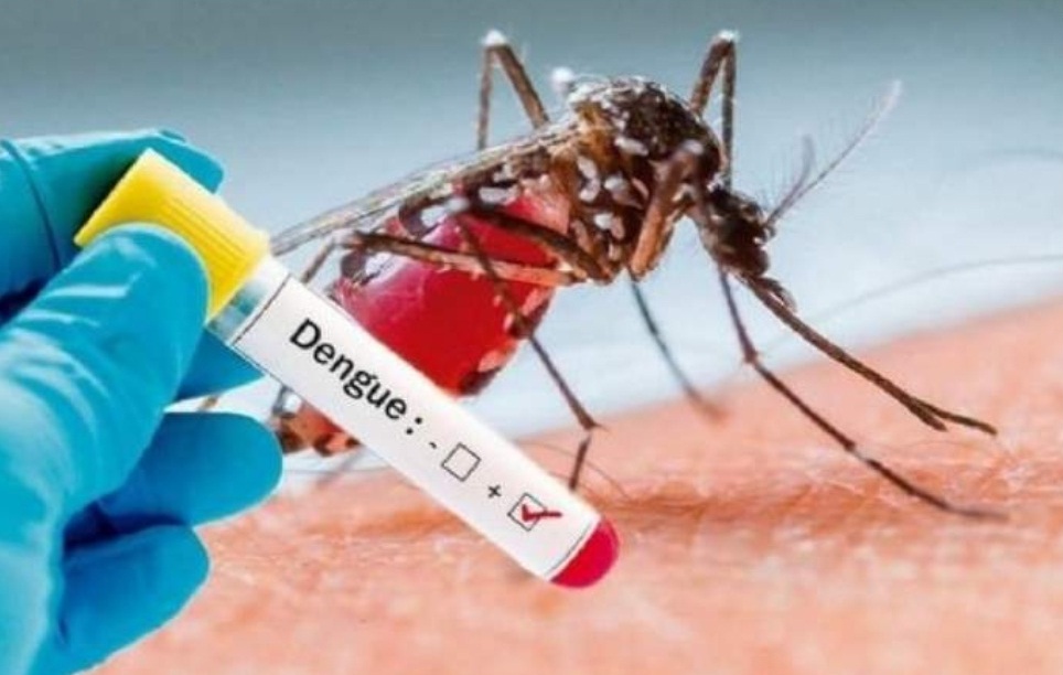 En 13 jurisdicciones del país se registran casos de dengue y el promedio semanal es de 2.000