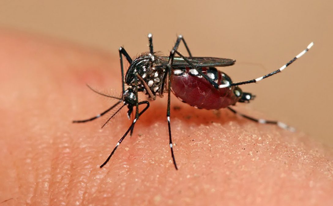 Se notificó un fallecimiento con diagnóstico de dengue probable