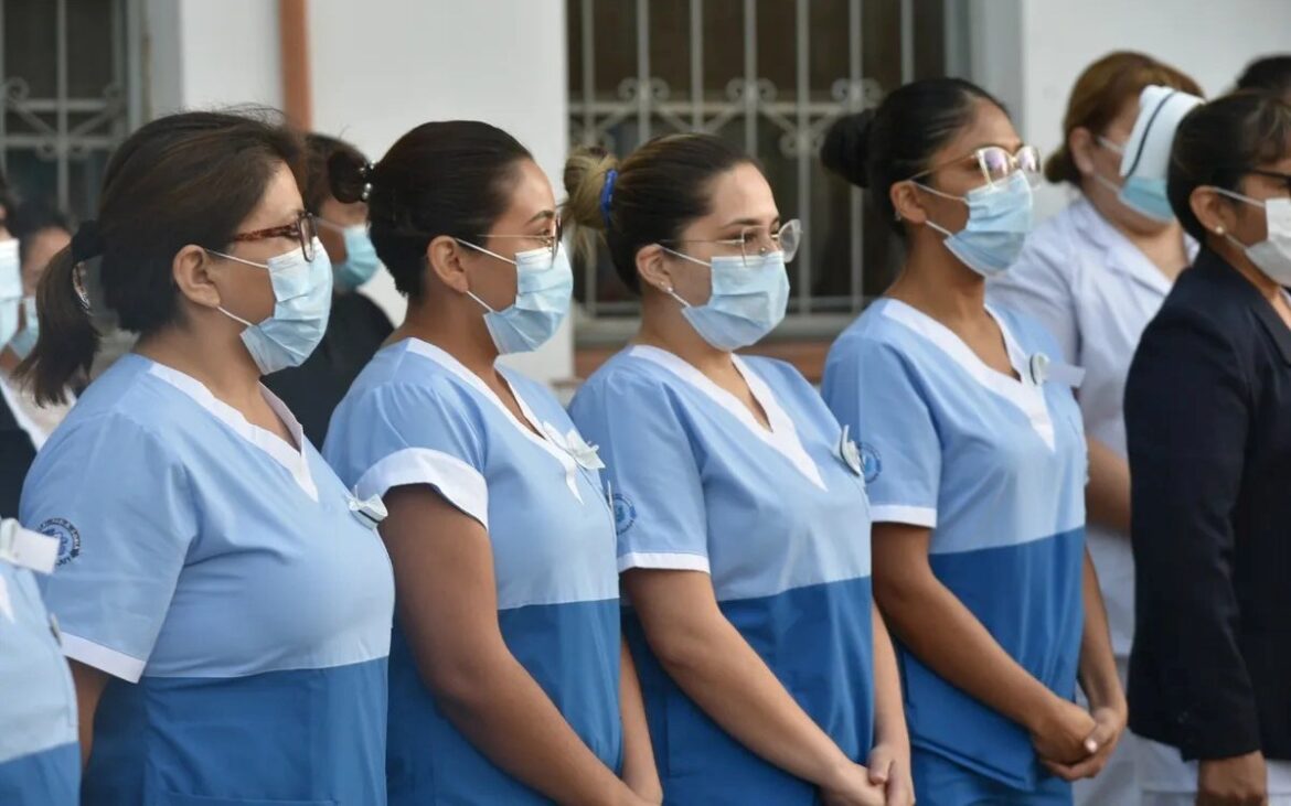Día de la Enfermería: 3235 profesionales se desempeñan en el sistema público