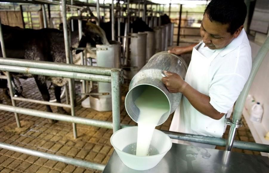 Lácteos e inflación: cuánto cuesta en realidad el litro de leche
