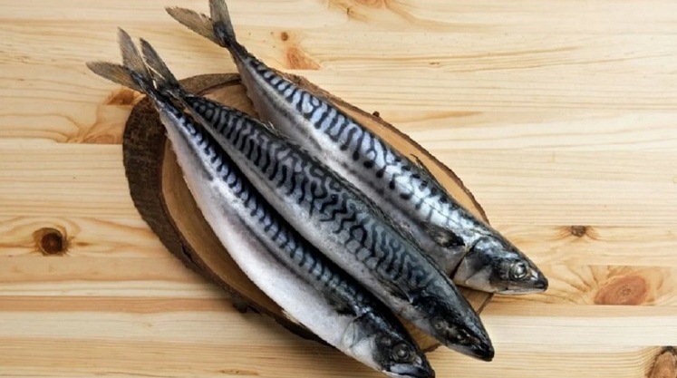 El pescado con más omega 3 que el salmón y que es más barato
